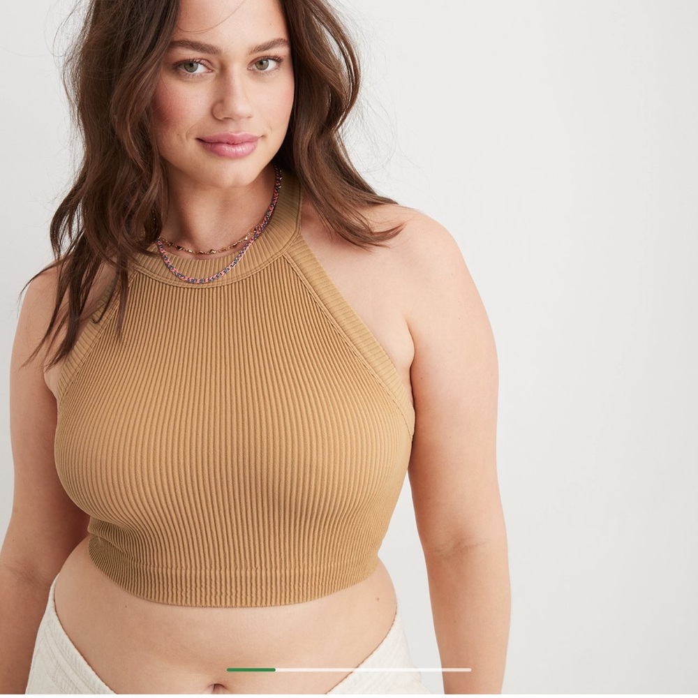 Aerie Superchill Seamless High Neck Bra Top